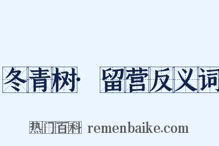 冬青树·留营反义词是什么意思的图片